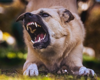 pitfalls personal injury cases
